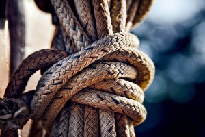 Close up of ropes coiled on sailboat
